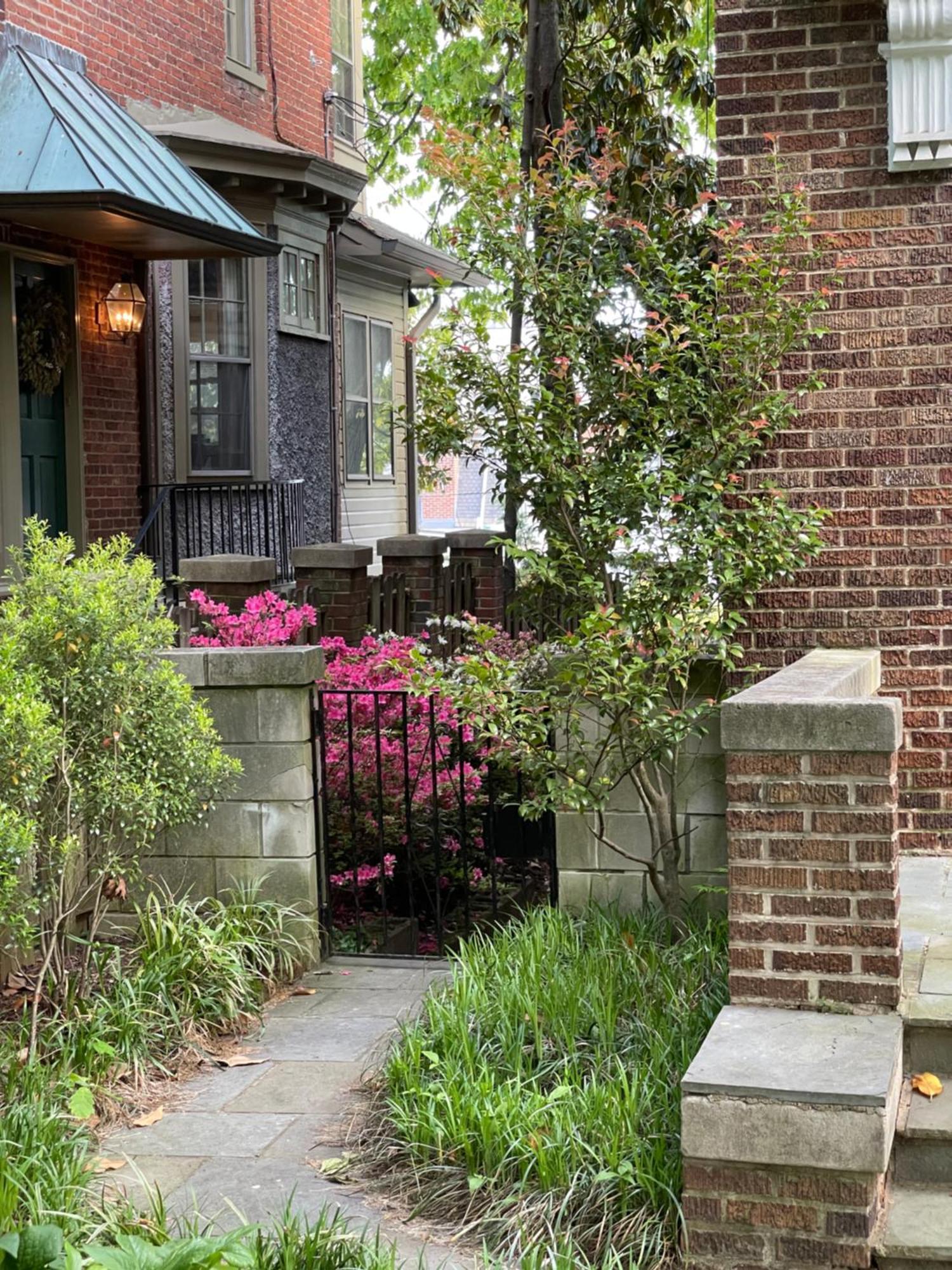 2 Bedroom By Zoo, Metro, Park And Embassies In Forest Hills - Best Location Washington Eksteriør billede